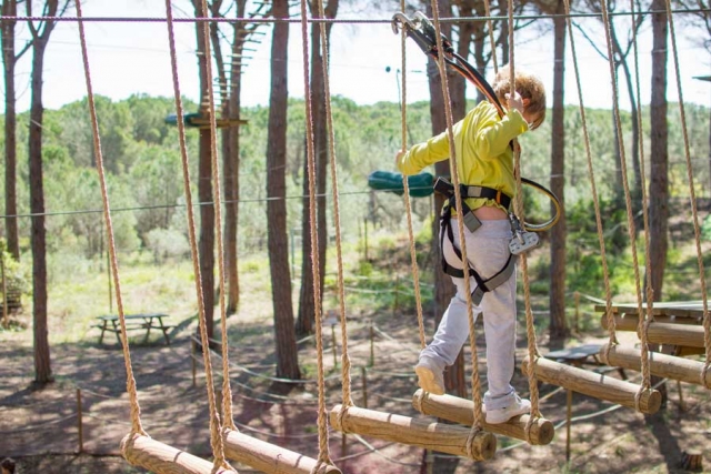 Caminando entre troncos